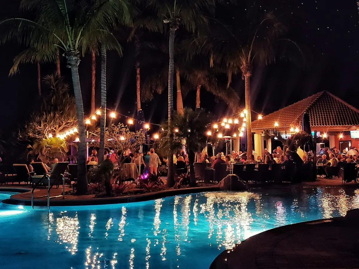 Evening pool party with palm trees and lights